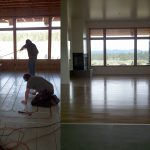 The Metamorphosis of a Home