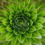 Certified Sustainable Home Professional