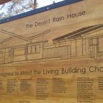 Desert Rain Garners More Media Attention