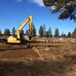 Protecting Native Vegetation