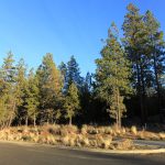 Designing a New Home: Lot 52 in Tetherow
